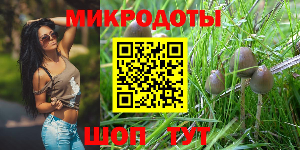 Галлюциногенные грибы Psilocybine cubensis  Вход с VPN  Верхняя Салда 